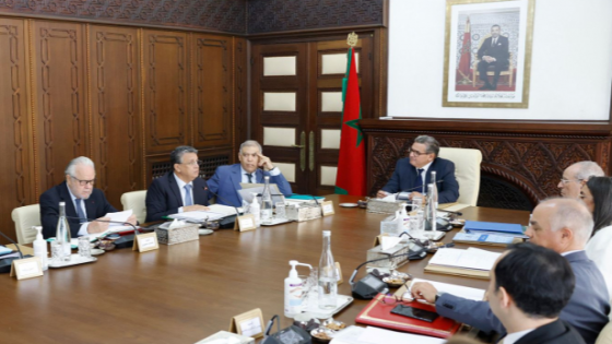 مجلس الحكومة يتابع عرضا حول فحص التقرير الوطني المتعلق بإعمال الاتفاقية الدولية للقضاء على جميع أشكال التمييز العنصري